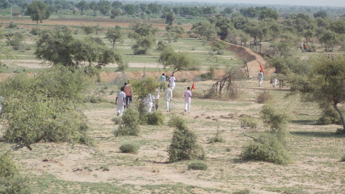 A 225km yatra to save the endangered sacred groves of Rajasthan The
